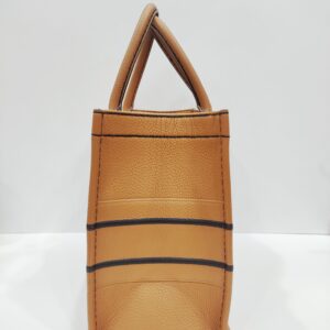 christian dior book tote bag