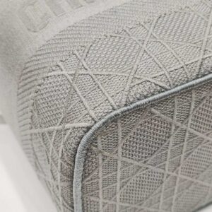 christian dior gray vanity canvas