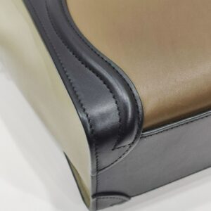 celine nano luggage tricolor