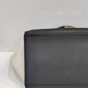 celine trapeze tricolor