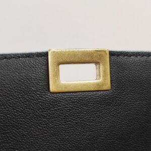 celine trapeze tricolor