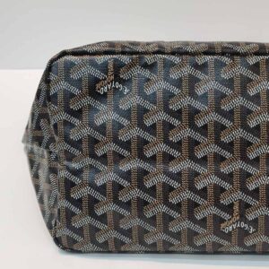 goyard st. louis pm black shw