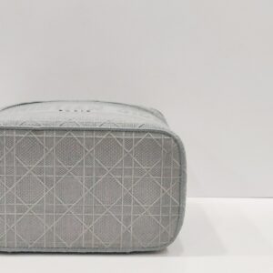 christian dior gray vanity canvas