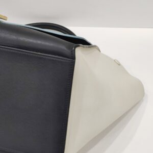 celine trapeze tricolor