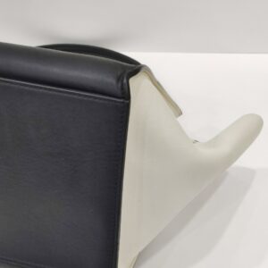 celine trapeze tricolor