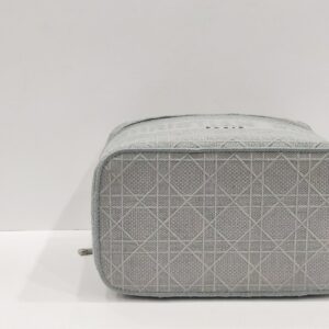 christian dior gray vanity canvas