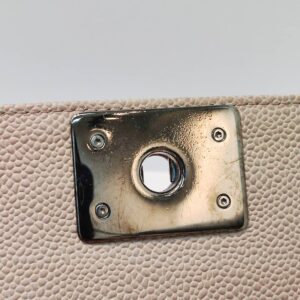 chanel small leboy caviar mermaid shw series 25