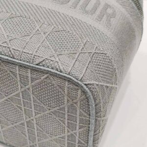 christian dior gray vanity canvas