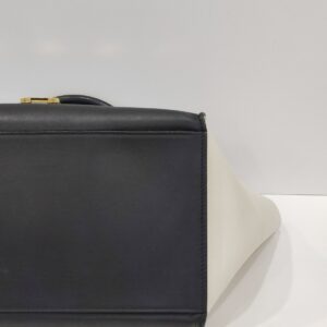 celine trapeze tricolor