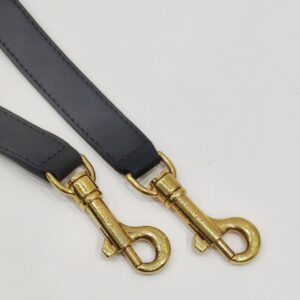 celine trapeze tricolor