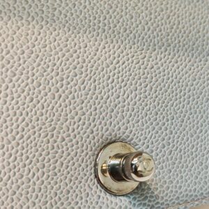 chanel small leboy caviar mermaid shw series 25