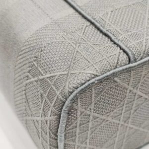 christian dior gray vanity canvas