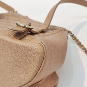 lady dior abc small light beige ghw (copy)