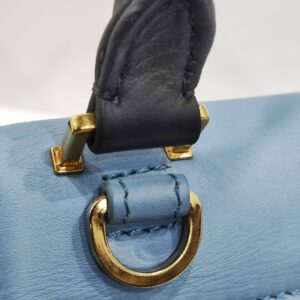 celine trapeze tricolor