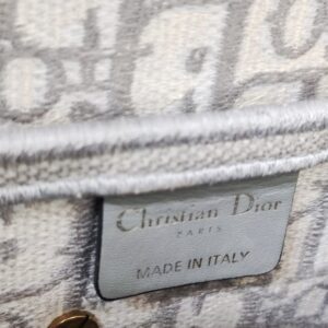 christian dior saddle medium gray ghw