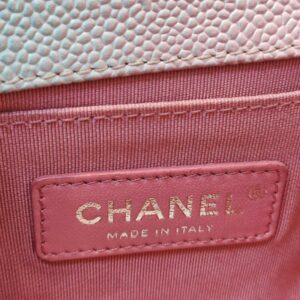 chanel small leboy caviar mermaid shw series 25