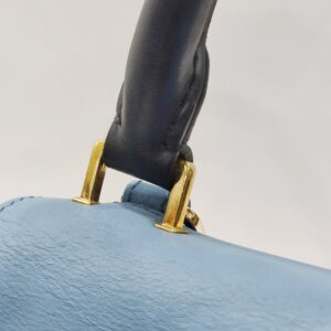 celine trapeze tricolor