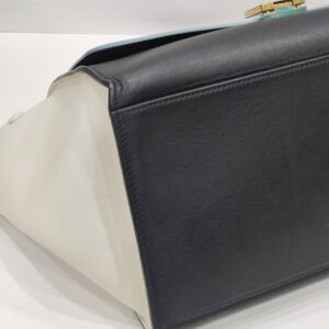 celine trapeze tricolor