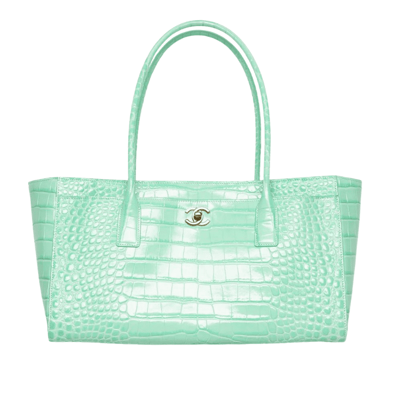 46 Bags Released by Chanel's Matthieu Blazy 02 crocodile embossed small shopping bag 45 bags released by matthieu blazy
