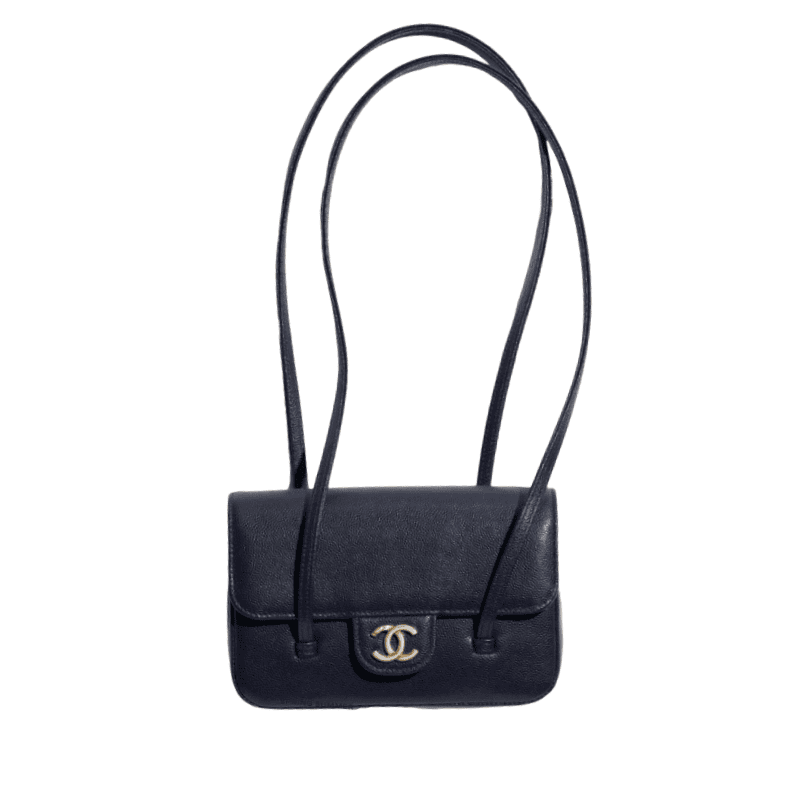 46 Bags Released by Chanel's Matthieu Blazy 14 preppy coco 45 bags released by matthieu blazy