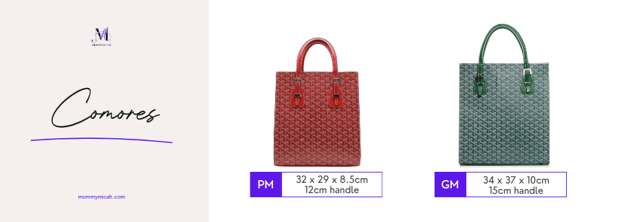 16 comores 18 goyard tote bag styles you should know about