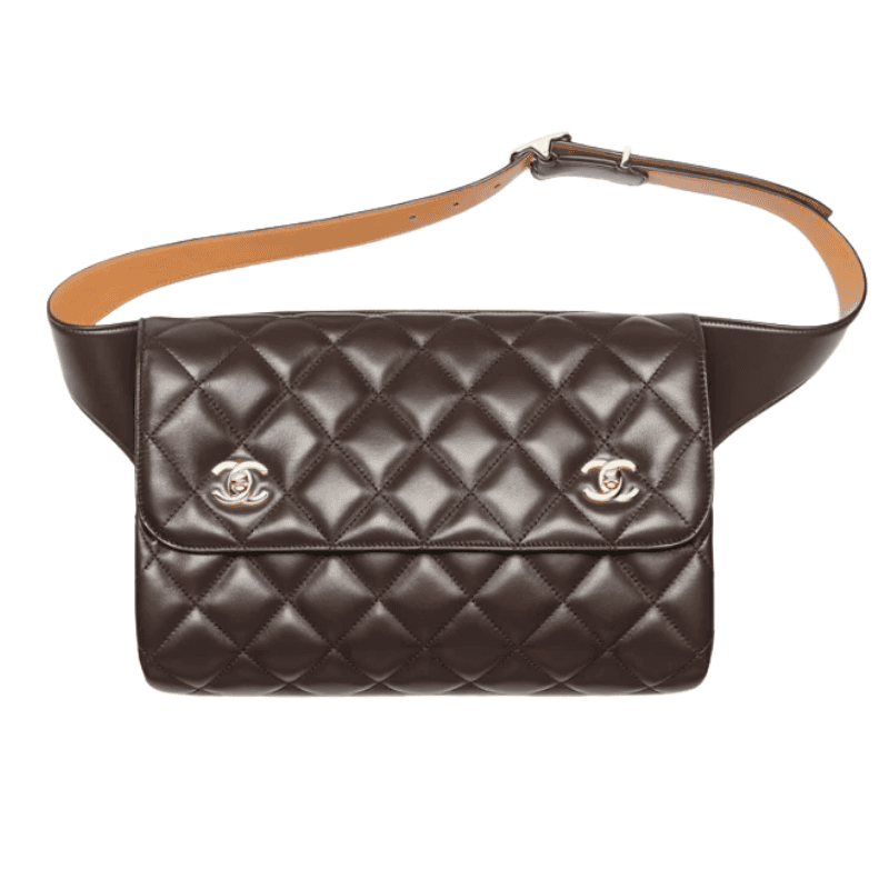 46 Bags Released by Chanel's Matthieu Blazy 29 double cc belt bag 45 bags released by matthieu blazy