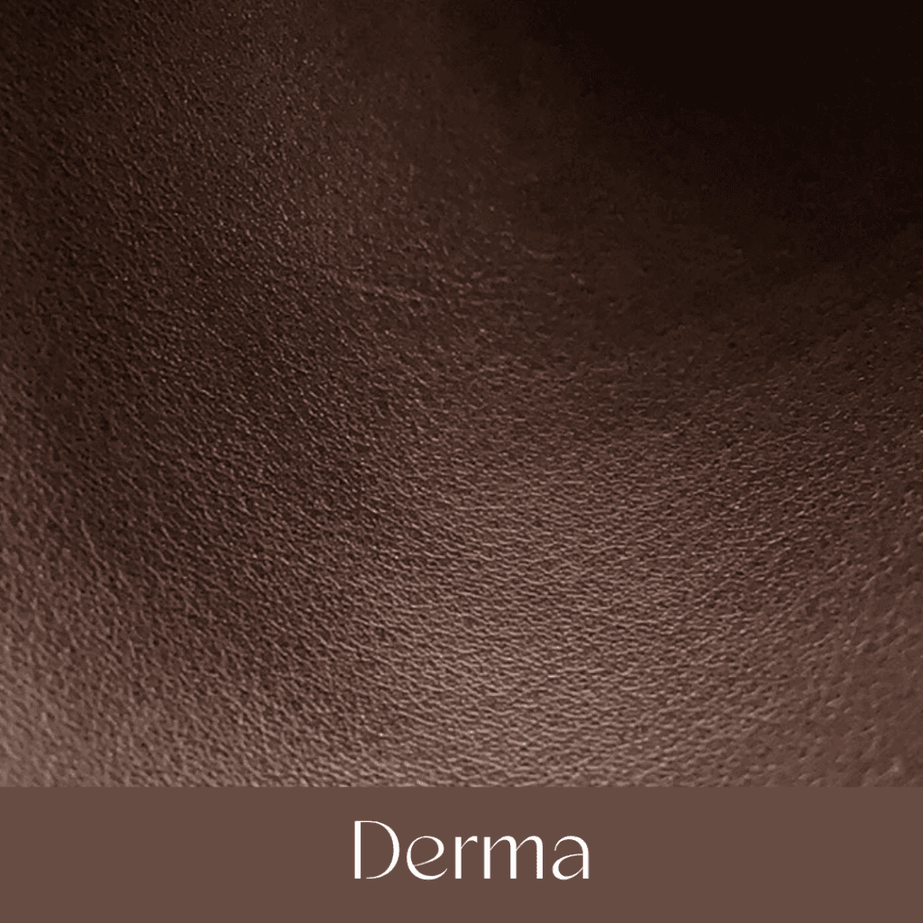 Your Comprehensible Guide to Hermès Leathers and Skins 11 derma your comprehensible guide to hermes leathers and skins