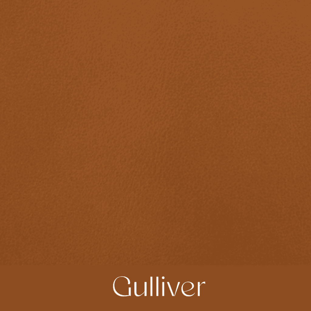 Your Comprehensible Guide to Hermès Leathers and Skins 18 gulliver your comprehensible guide to hermes leathers and skins