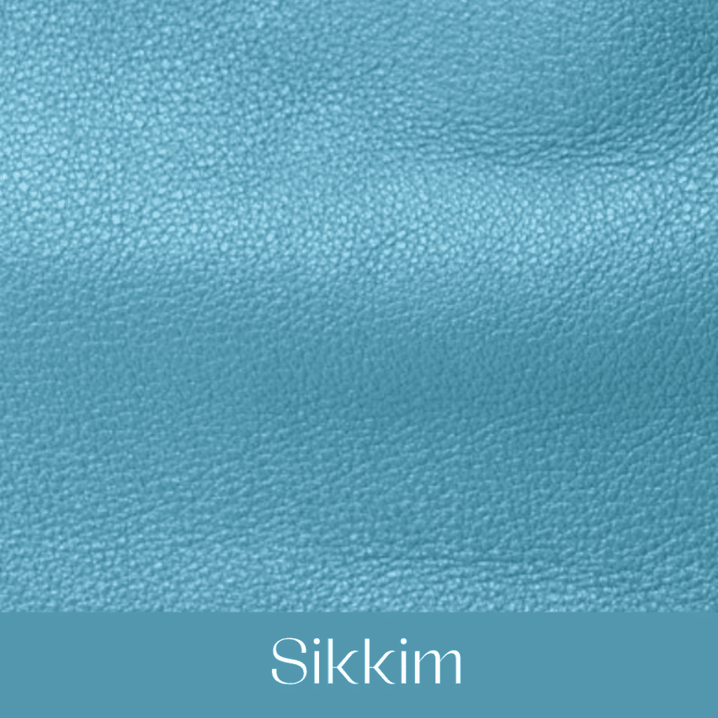 Your Comprehensible Guide to Hermès Leathers and Skins 25 sikkim your comprehensible guide to hermes leathers and skins