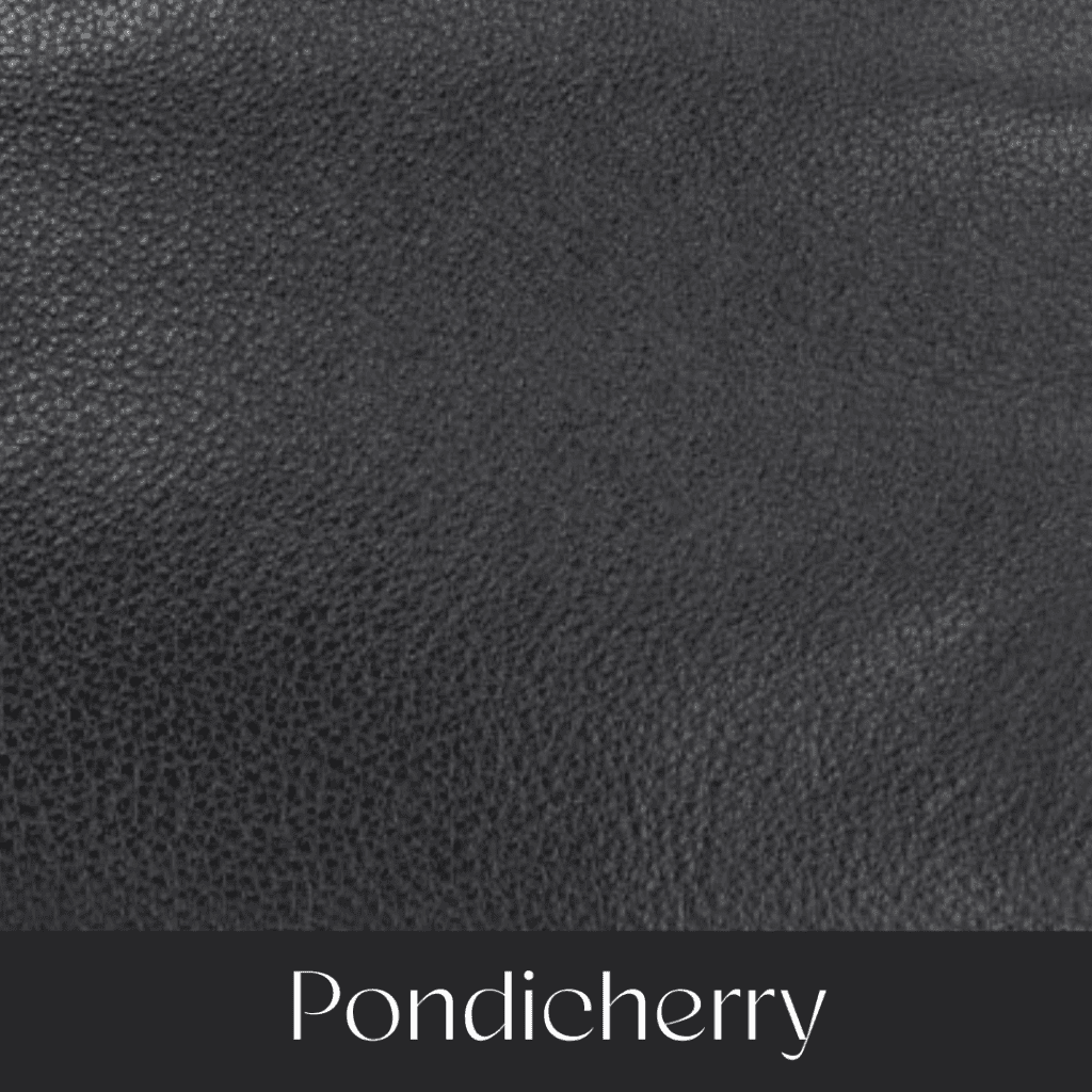 Your Comprehensible Guide to Hermès Leathers and Skins 35 pondicherry your comprehensible guide to hermes leathers and skins