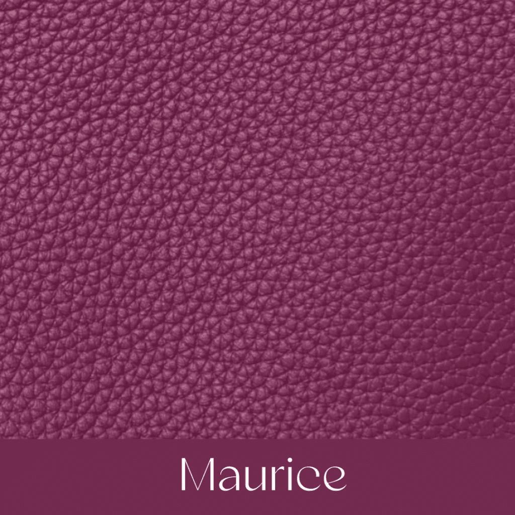 Your Comprehensible Guide to Hermès Leathers and Skins 38 maurice your comprehensible guide to hermes leathers and skins