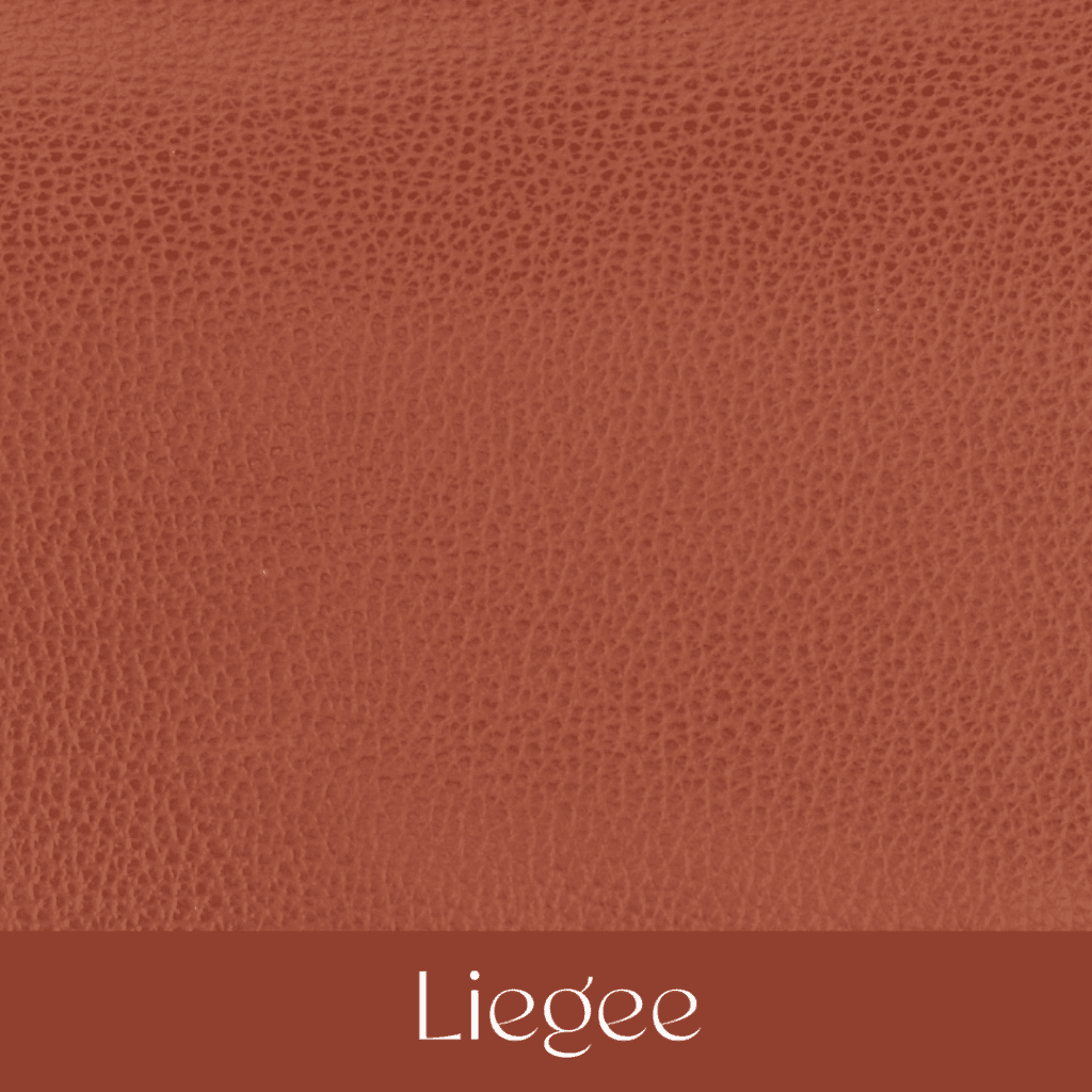 Your Comprehensible Guide to Hermès Leathers and Skins 44 liegee your comprehensible guide to hermes leathers and skins