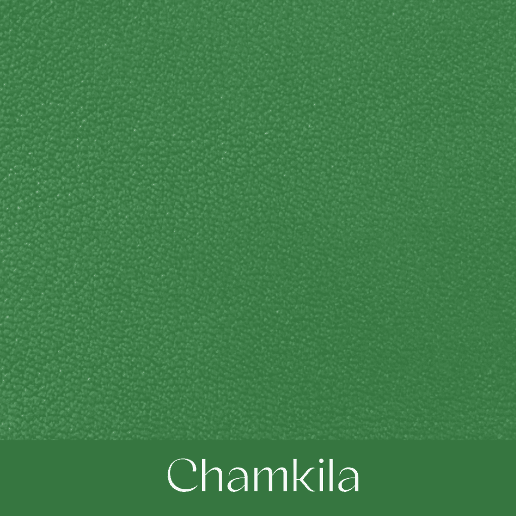 Your Comprehensible Guide to Hermès Leathers and Skins 50 chamkila your comprehensible guide to hermes leathers and skins