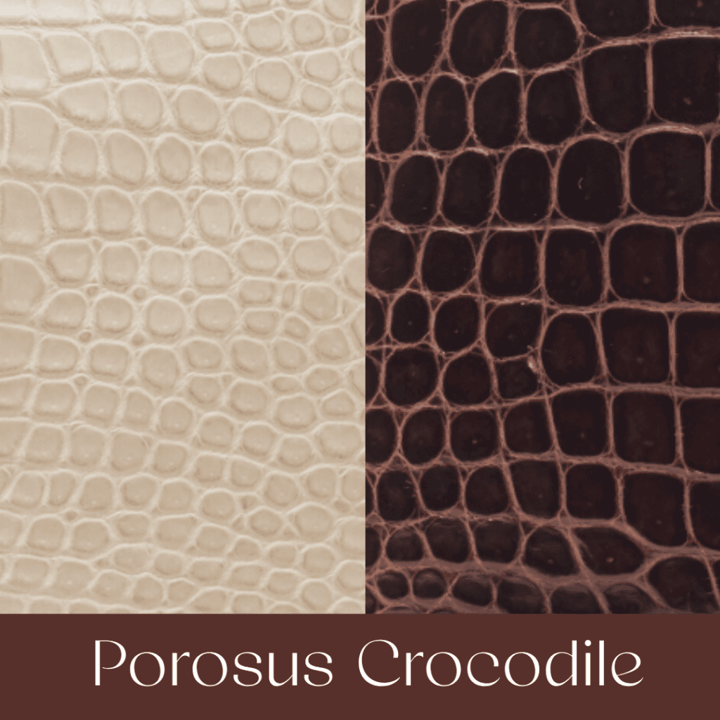 Your Comprehensible Guide to Hermès Leathers and Skins 54 porosus crocodile your comprehensible guide to hermes leathers and skins