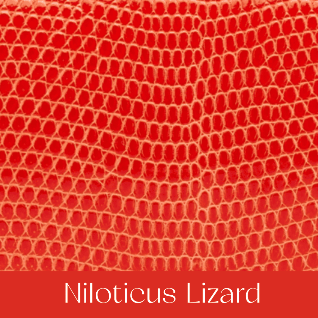 Your Comprehensible Guide to Hermès Leathers and Skins 57 niloticus lizard your cmprehensible guide to hermes leathers and skins