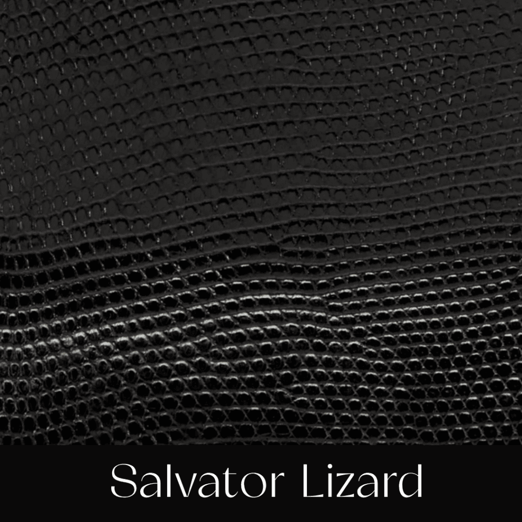Your Comprehensible Guide to Hermès Leathers and Skins 58 salvator lizard your comprehensible guide to hermes leathers and skins