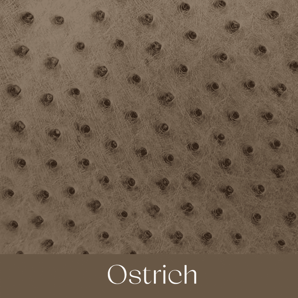 Your Comprehensible Guide to Hermès Leathers and Skins 59 ostrich your comprehensible guide to hermes leathers and skins