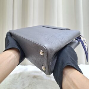 LV Capucines BB Grey Embellished Crown Flowers
