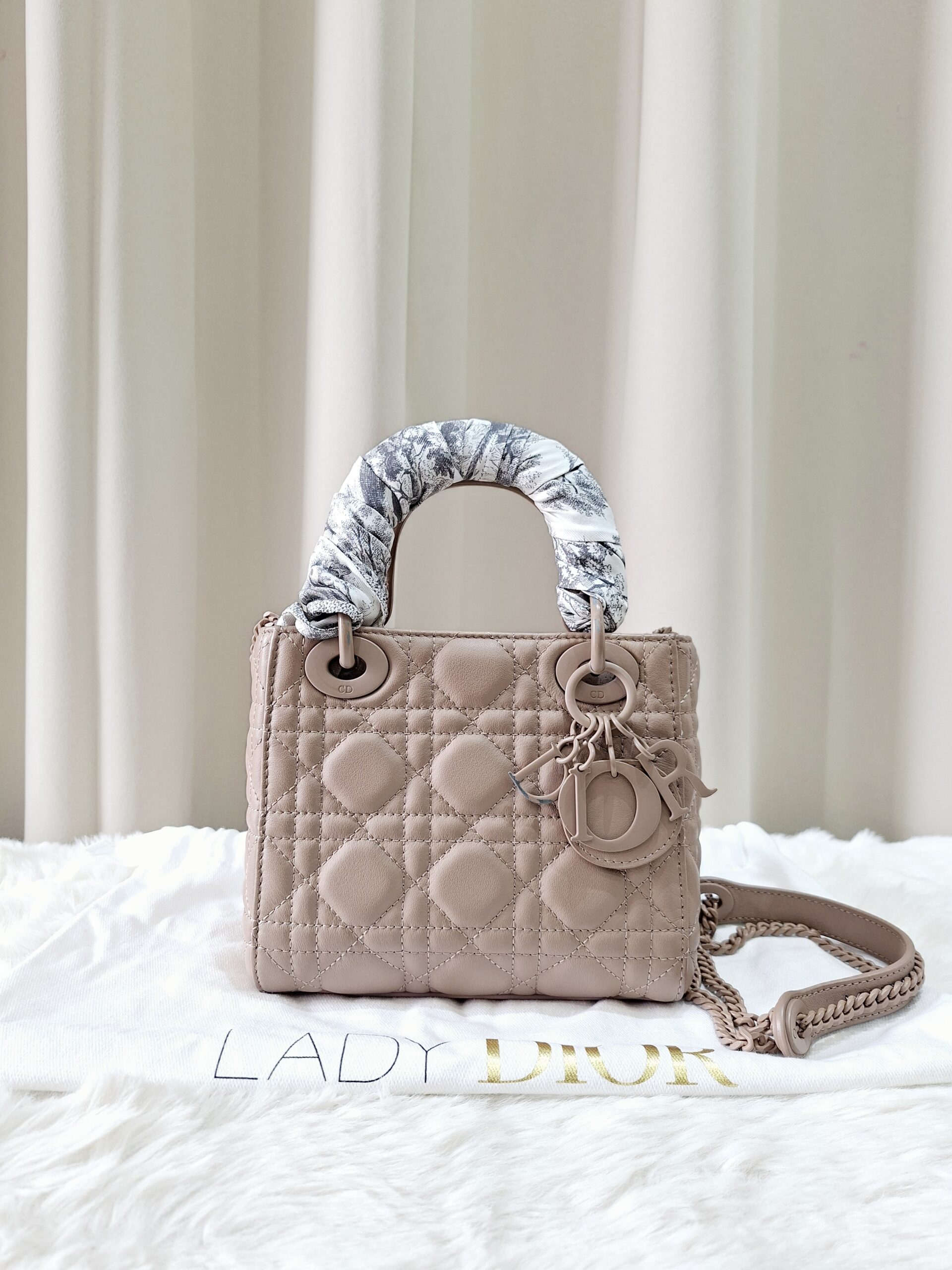 Christian Dior Ultra Matte Cannage Lady Dior Mini Christian Dior Ultra Matte Cannage Lady Dior Mini