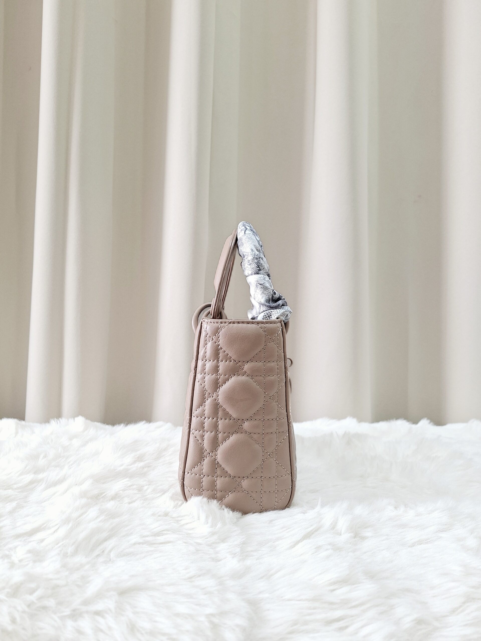 Christian Dior Ultra Matte Lady Dior Mini Bag Christian Dior Ultra Matte Lady Dior Mini Bag