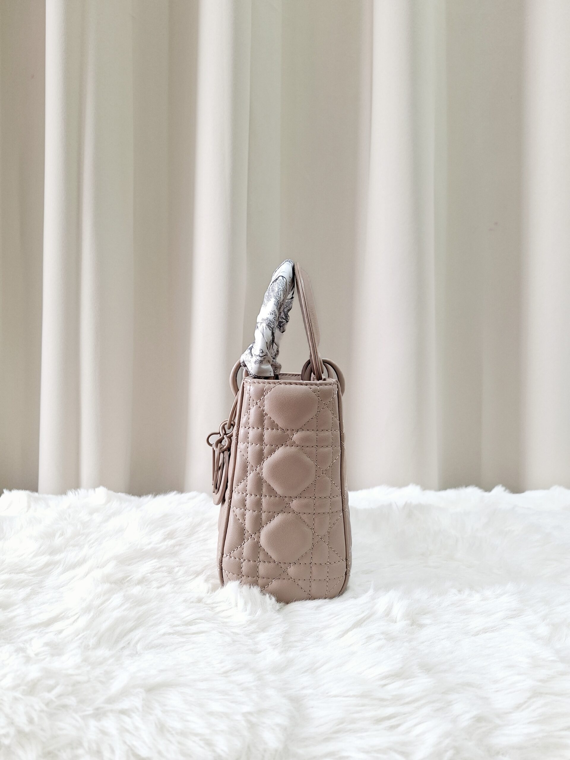 Christian Dior Ultra Matte Lady Dior Mini Bag Christian Dior Ultra Matte Lady Dior Mini Bag