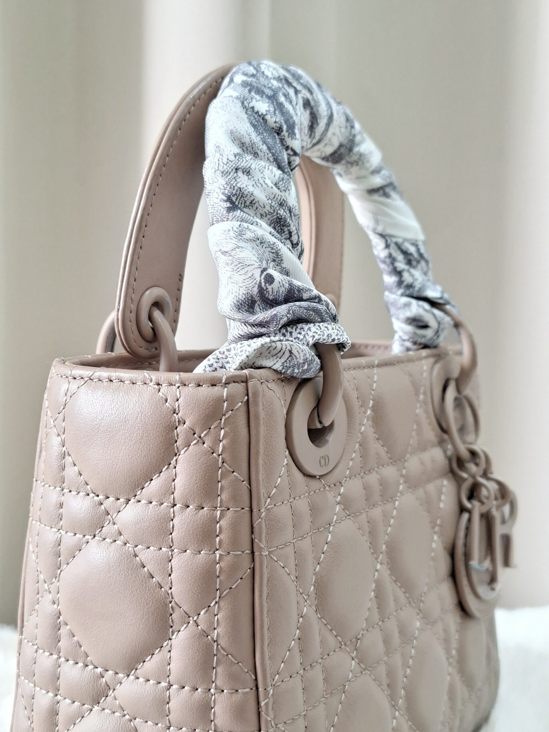 Christian Dior Ultra Matte Lady Dior Mini Bag Christian Dior Ultra Matte Lady Dior Mini Bag