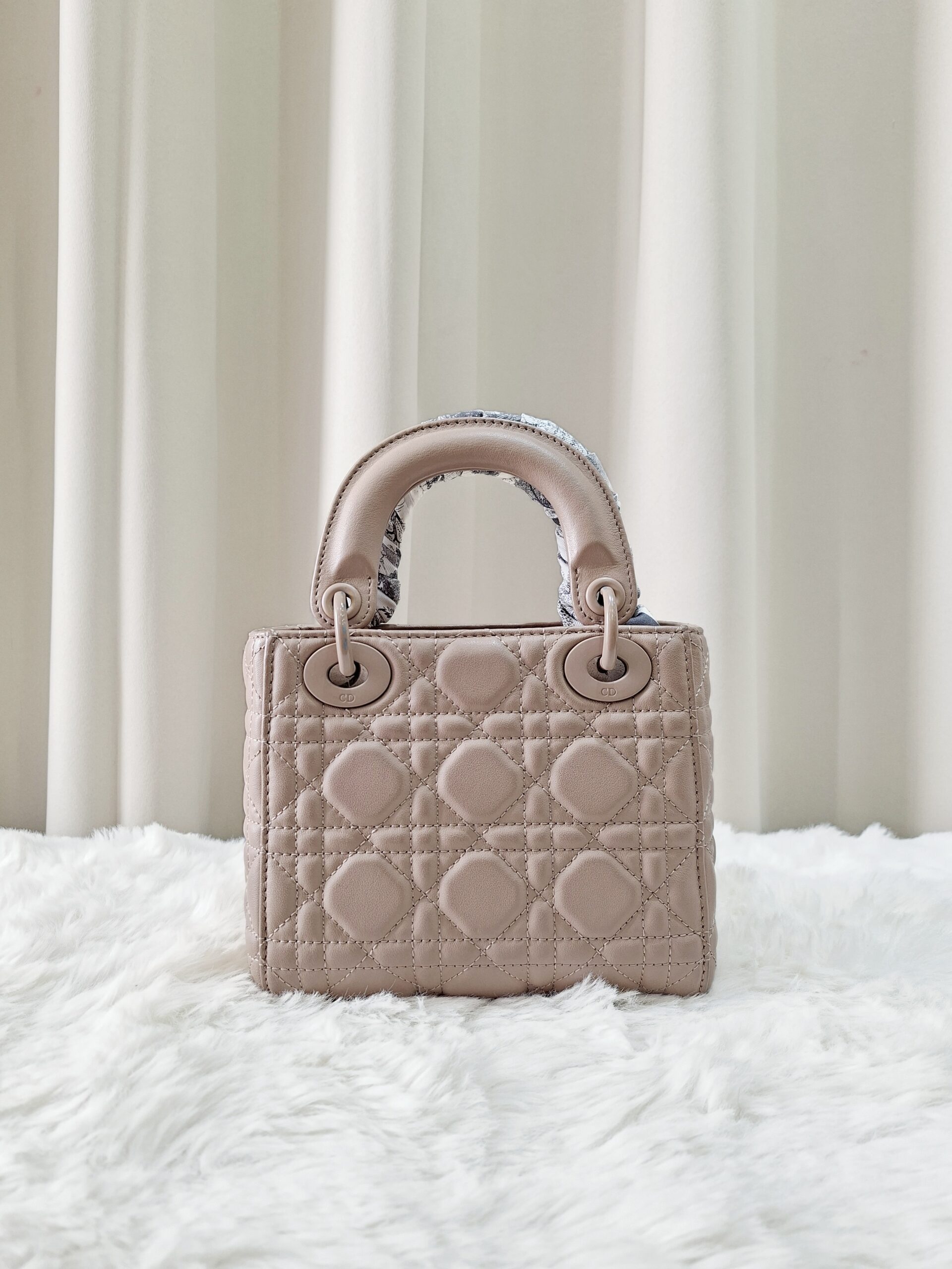Christian Dior Ultra Matte Lady Dior Mini Bag Christian Dior Ultra Matte Lady Dior Mini Bag