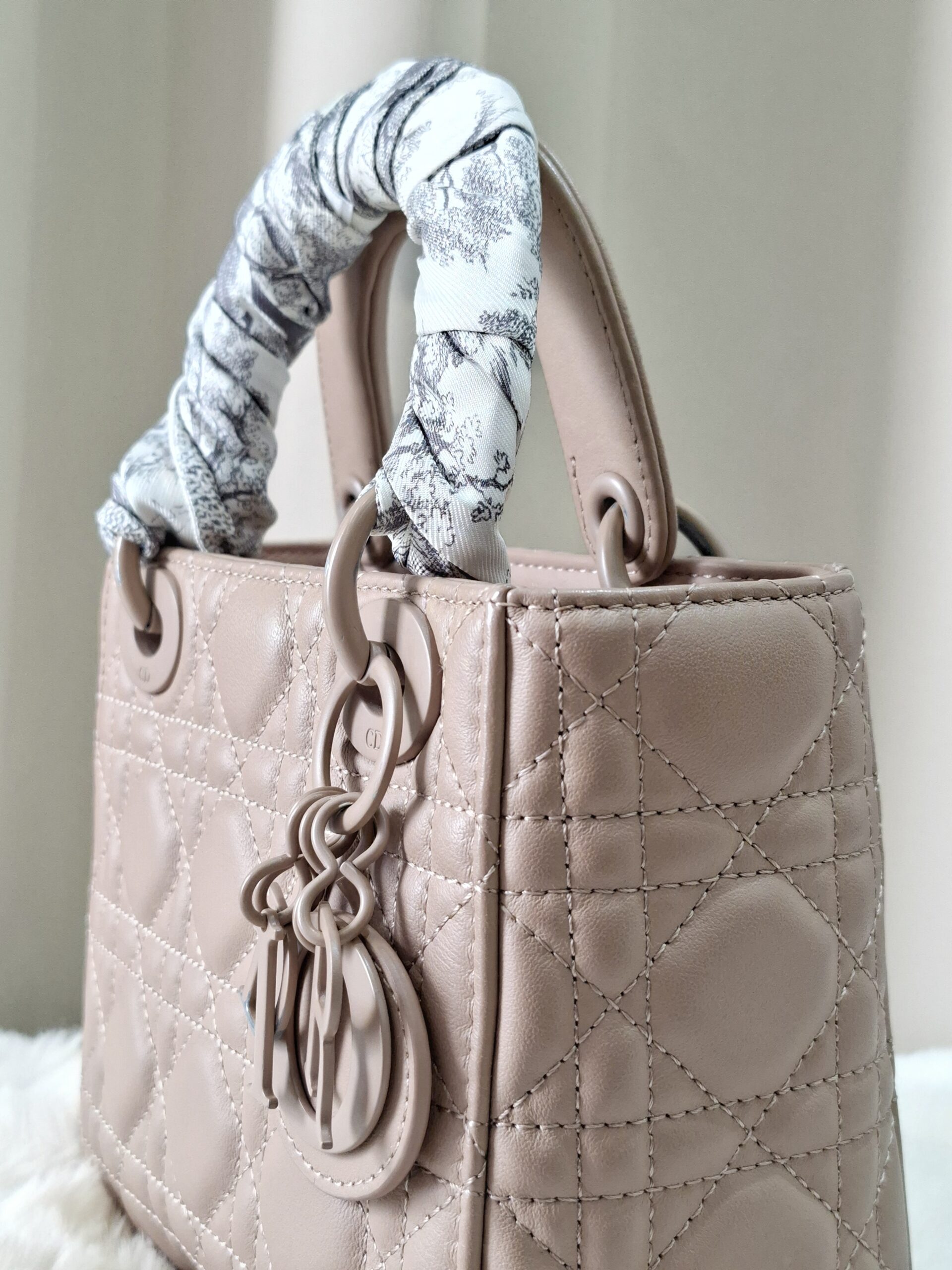 Christian Dior Ultra Matte Lady Dior Mini Bag Christian Dior Ultra Matte Lady Dior Mini Bag