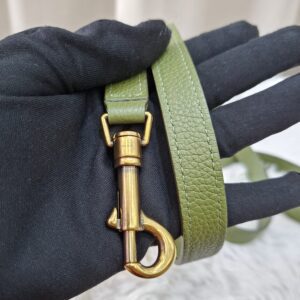 Celine Nano Luggage