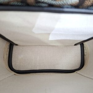 Goyard Alpin Mini Backpack