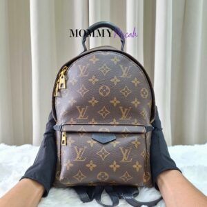 LV Palmspring PM Monogram