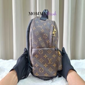 LV Palmspring PM Monogram