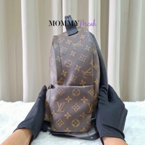 LV Palmspring PM Monogram