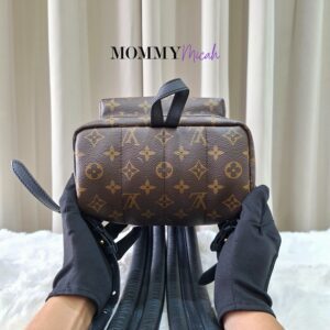 LV Palmspring PM Monogram